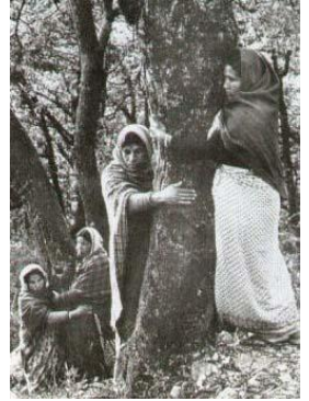 chipkomovement