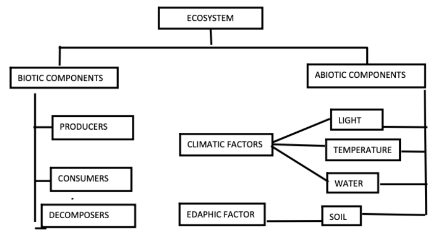 our enviroment