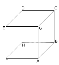 Cube And Dices