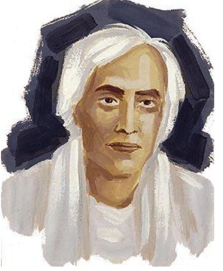 Novels In The Colonial World