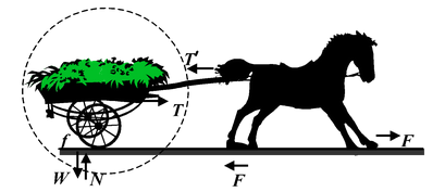 Newton's Laws